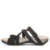 ACACIA BLACK