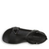 HYDRA BLACK