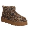 RETRO SHORTY EXOTIC TOBACCO LEOPARD