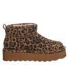 RETRO SHORTY EXOTIC TOBACCO LEOPARD
