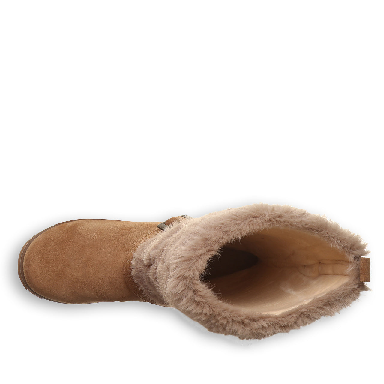 OCTAVIA HICKORY