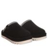 ARDEN BLACK